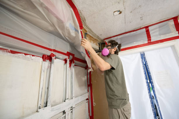 Dehumidification Services in Washington Park, FL