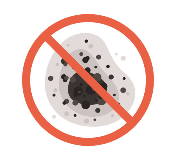 Best Air Quality Testing for Mold Spores  in Washington Park, FL