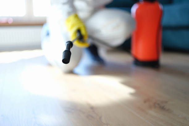 Best Basement Mold Removal  in Washington Park, FL